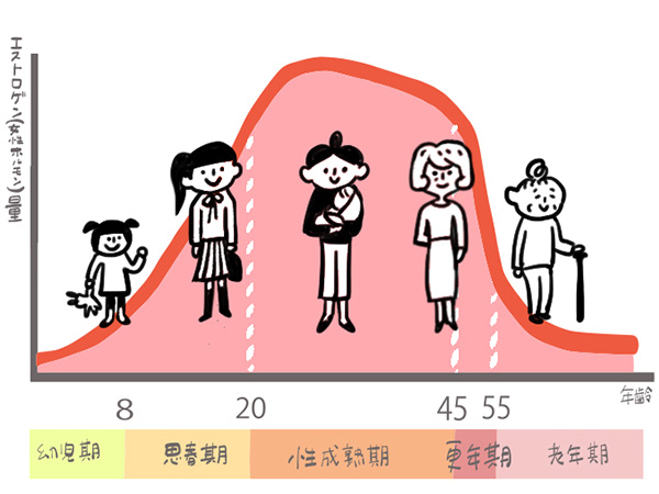 エストロゲンの量と年齢のイラスト