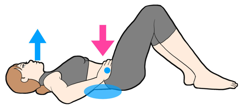 ドローイン 女性